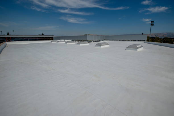 Best Commercial Roofing Services  in Benavides, TX