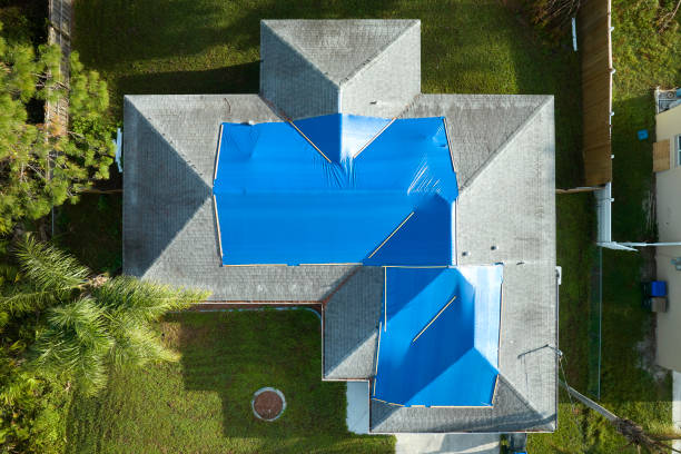 Roof Coating Services in Benavides, TX