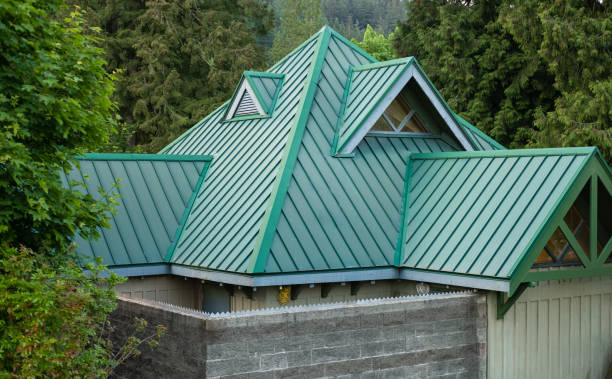Best Roof Maintenance and Cleaning  in Benavides, TX