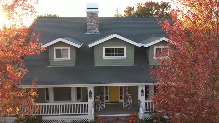 Best Slate Roofing  in Benavides, TX