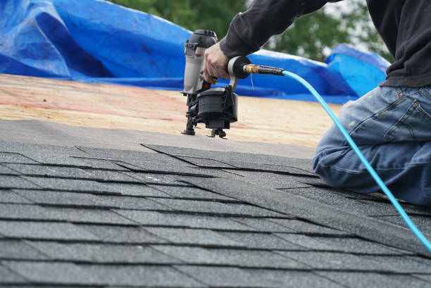 Best Roof Moss and Algae Removal  in Benavides, TX
