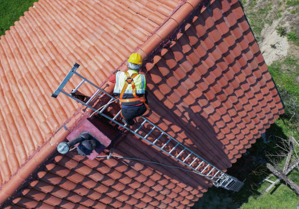 Best Chimney Flashing Repair  in Benavides, TX