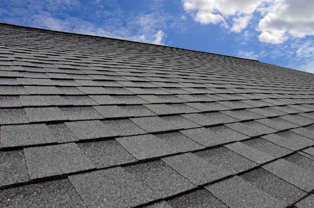 Best Solar Panel Roofing Installation  in Benavides, TX